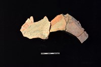 藏品(連杯形器)的圖片